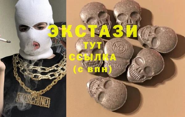 ECSTASY Богородск