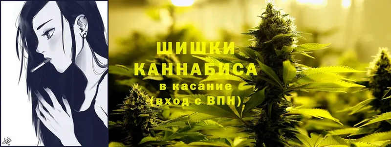 Бошки марихуана Amnesia  где купить наркоту  Магадан 